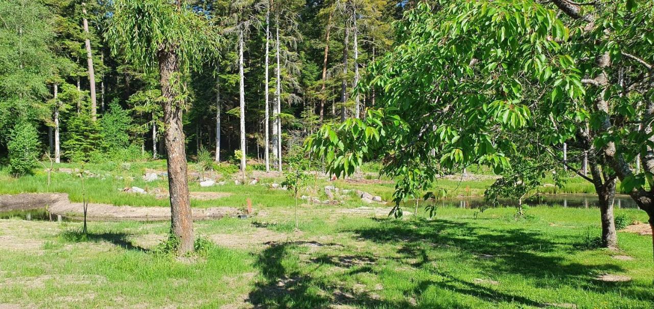 Gites Les Saules Et Les Charmes Saint-Remy  Exteriér fotografie