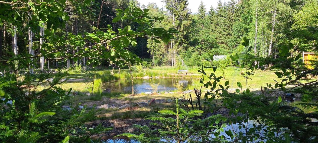 Gites Les Saules Et Les Charmes Saint-Remy  Exteriér fotografie