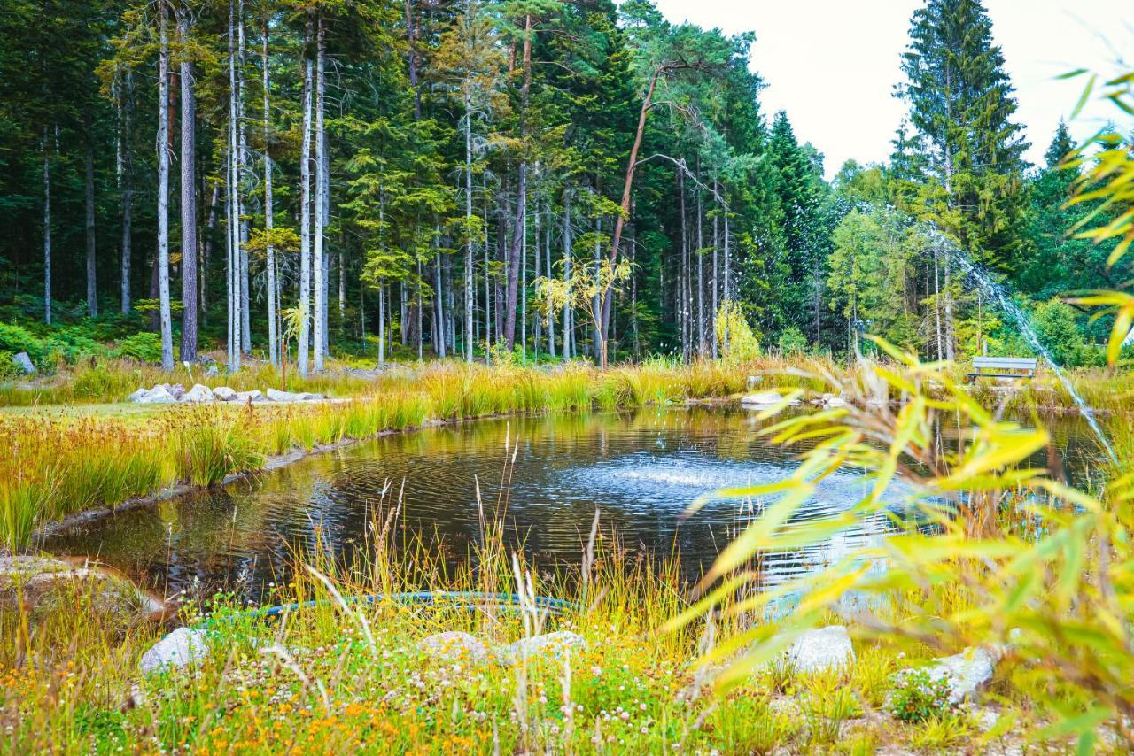 Gites Les Saules Et Les Charmes Saint-Remy  Exteriér fotografie